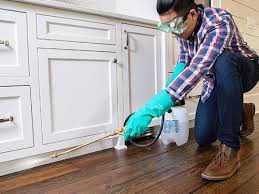 Best Real Estate Pest Inspections  in Gwinn, MI