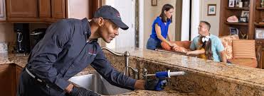 Professional Pest control in Gwinn, MI